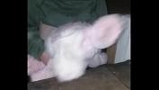 Bokep Sex Me fucking my bunny in my friends shed online