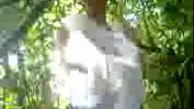 Vidio Bokep anak MA jilbab ngentot di hutan terbaru