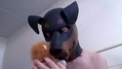 Nonton Film Bokep Kinky Girl gets off wearing a rubber dog mask mp4