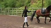 Download Video Bokep Harmony Young Harlots Riding School scene 5 extract 3