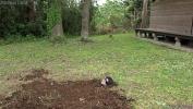 Video Bokep A slave buried alive by the japanese mistre 2019
