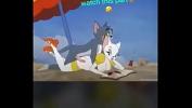 Bokep Tom n Jerry having funny animations gratis
