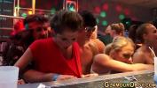 Video Bokep Milfs having fun at sex party online