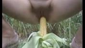 Xxx Bokep Khet men bhutta sexy chudai 3 terbaru