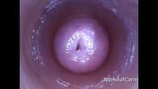 Download Bokep Live View From Inside Her Pussy In Front Of Her Fans terbaik