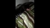 Download Video Bokep Reall sex hot