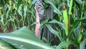 Nonton bokep HD couple having sex in a public cornfield loving the thrill to get caught 3gp online