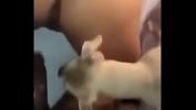 Video Bokep Terbaru Le doy con el pene al perro hot
