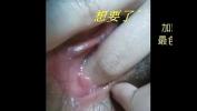 Nonton Video Bokep 大臺灣淫娃樂樂第一手資訊外送茶坊LINE：09papa gratis