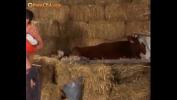 Bokep Video Hot orgy in barn 2019