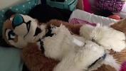 Film Bokep Furry girl rides vibrator to orgasm terbaik