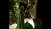 Video Bokep Hot gay thu dam terbaik