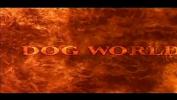 Download Film Bokep Dog World DVD by Thagson dvdtrailertube period com 2019