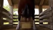 Video Bokep Hot A la chica le encanta la poronga de su caballo terbaik